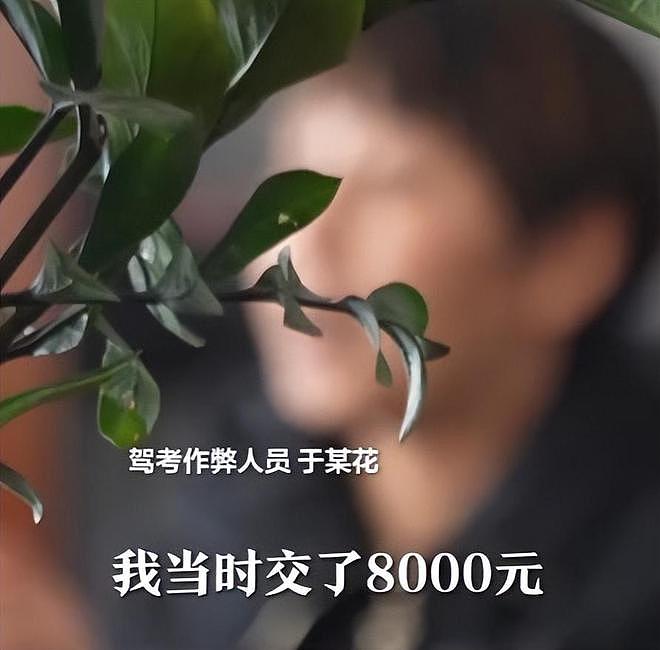 又一考场作弊曝光，8000买四科满分，牵出完整产业链，真不简单（组图） - 13