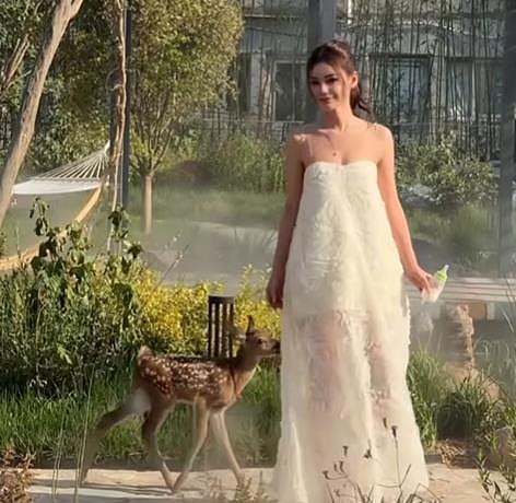 马筱梅把玥儿当公主宠：带她和小动物玩，像妈妈一样陪伴她（组图） - 3