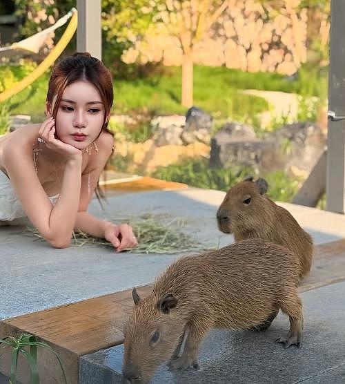 马筱梅把玥儿当公主宠：带她和小动物玩，像妈妈一样陪伴她（组图） - 2