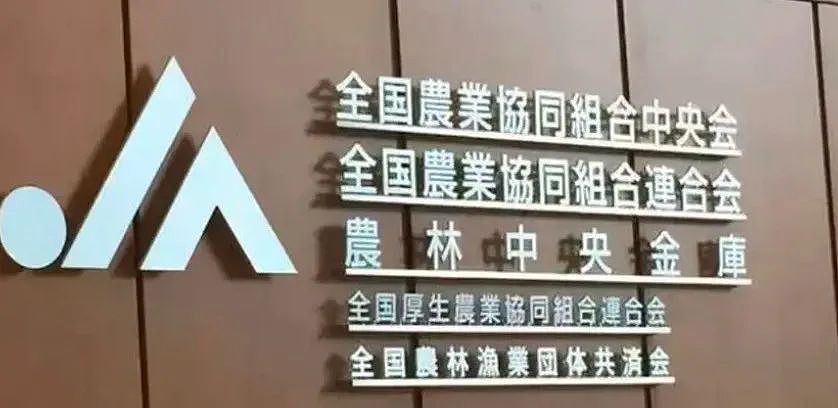 日本米荒,只能开卖陈年古古古米!日本人:别笑,这叫Vintage大米(组图) - 2