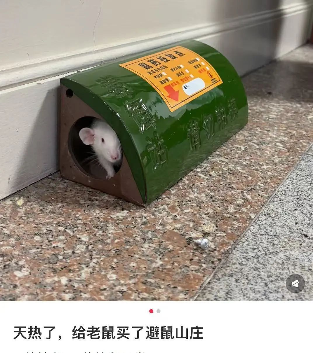 【爆笑】“高考最大的受益者出现了…？”网友笑疯：哈哈哈这是来进货了吗（组图） - 63