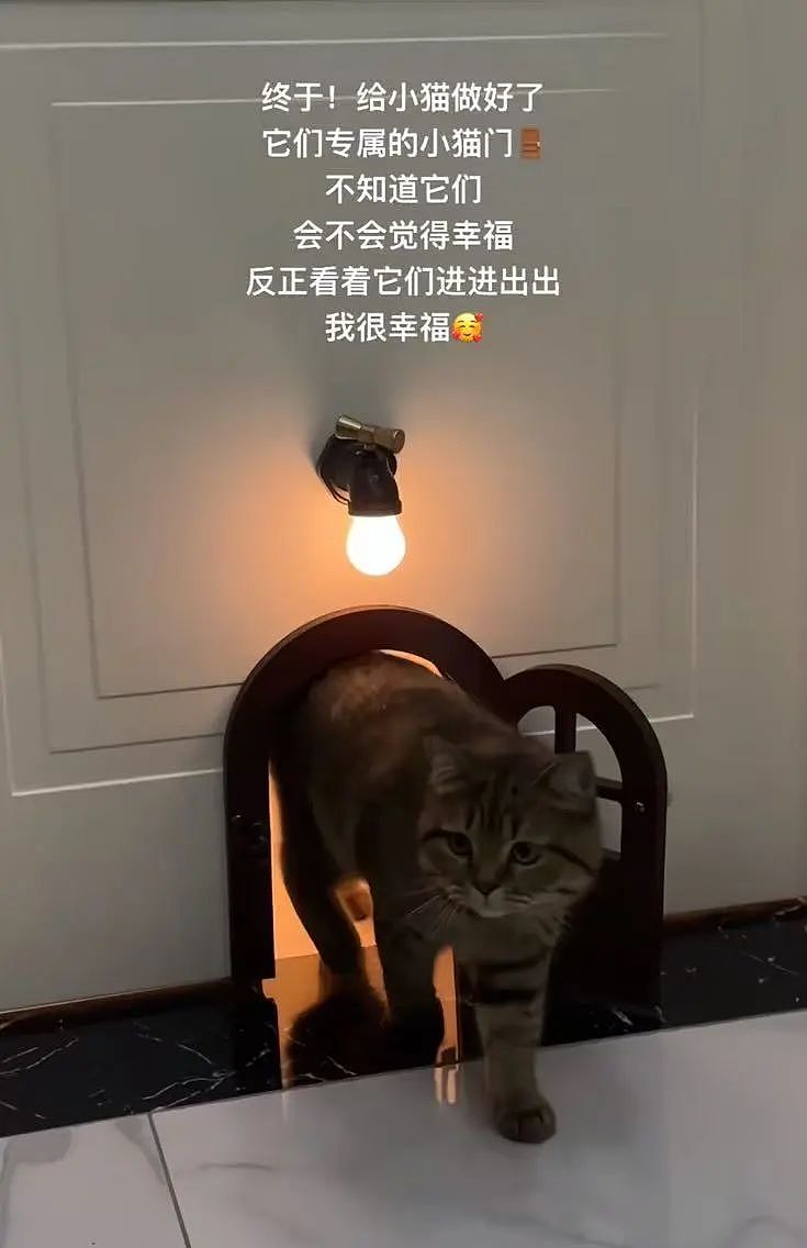 【爆笑】“高考最大的受益者出现了…？”网友笑疯：哈哈哈这是来进货了吗（组图） - 36