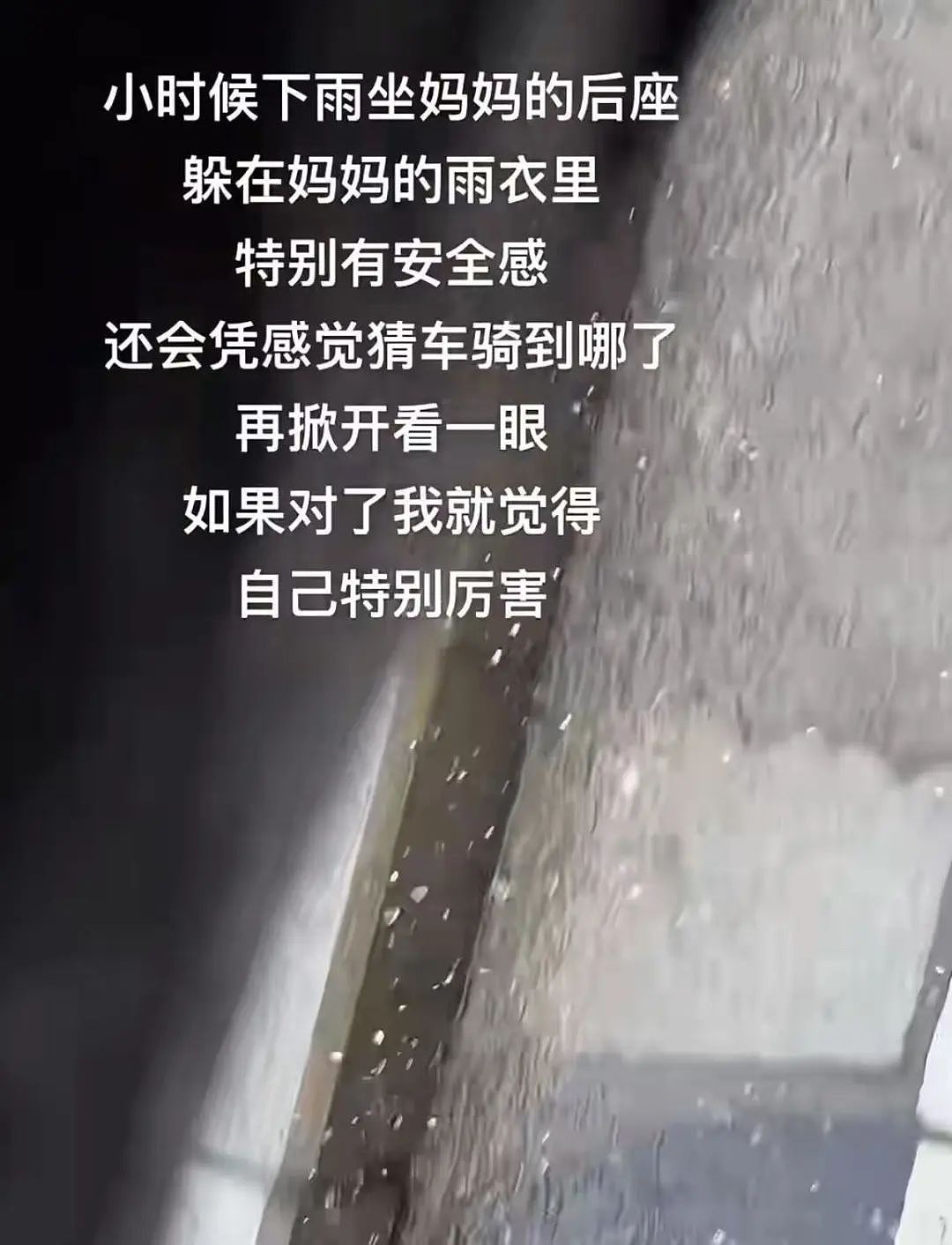 【爆笑】“PDD上买的范特西专辑是正版吗...？”网友夺笋：你这是范特东（组图） - 16