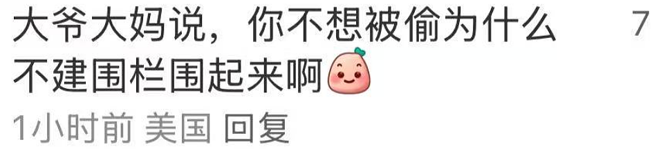 华人大爷大妈组团偷摘樱桃，当场被捕！面临重罪指控，网友直呼丢人（组图） - 13