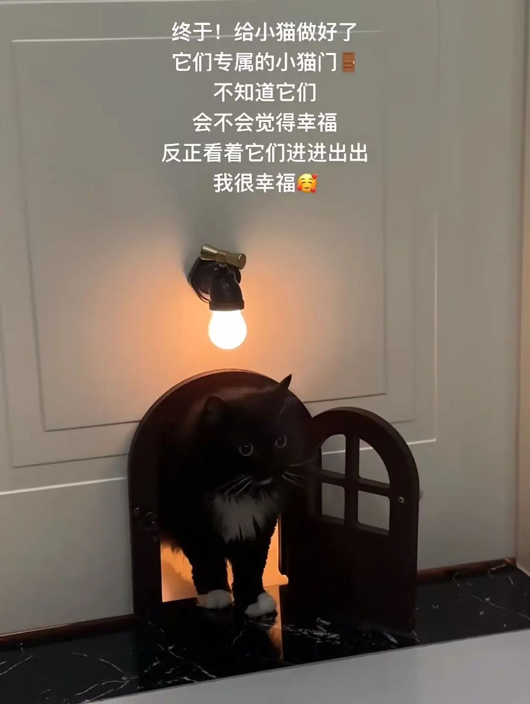 【爆笑】“高考最大的受益者出现了…？”网友笑疯：哈哈哈这是来进货了吗（组图） - 37