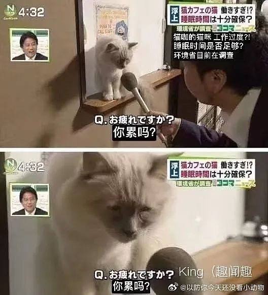 【爆笑】“高考最大的受益者出现了…？”网友笑疯：哈哈哈这是来进货了吗（组图） - 90