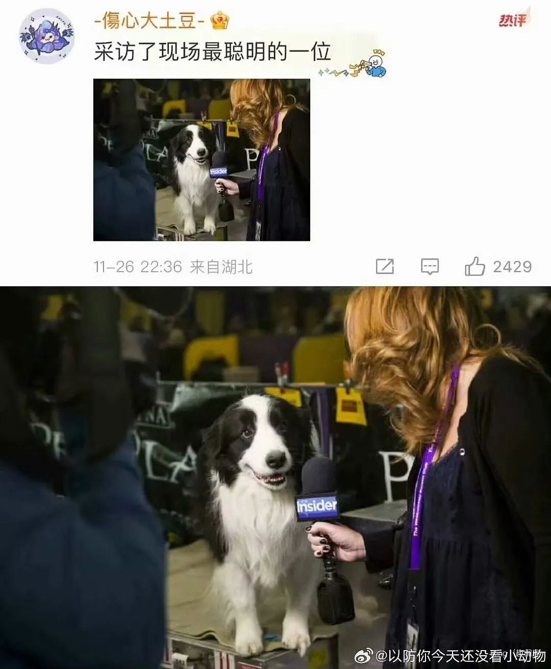 【爆笑】“高考最大的受益者出现了…？”网友笑疯：哈哈哈这是来进货了吗（组图） - 89