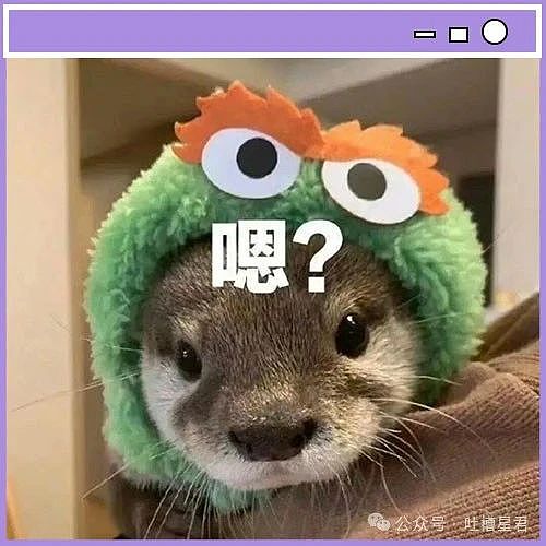 【爆笑】“高考最大的受益者出现了…？”网友笑疯：哈哈哈这是来进货了吗（组图） - 2