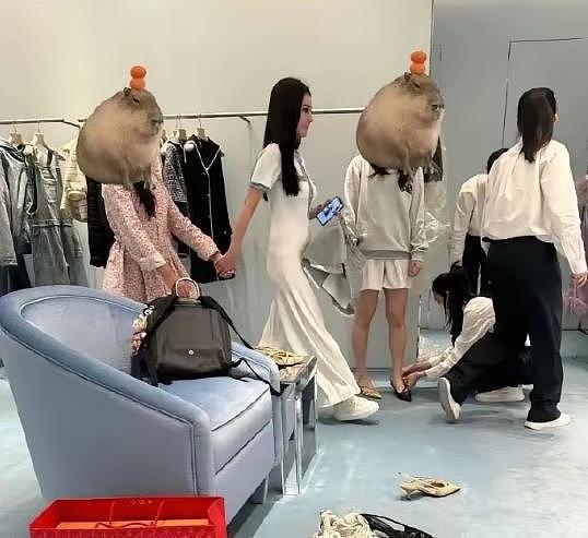 马筱梅把玥儿当公主宠：带她和小动物玩，像妈妈一样陪伴她（组图） - 12