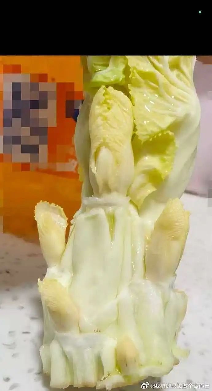 【爆笑】“高考最大的受益者出现了…？”网友笑疯：哈哈哈这是来进货了吗（组图） - 56