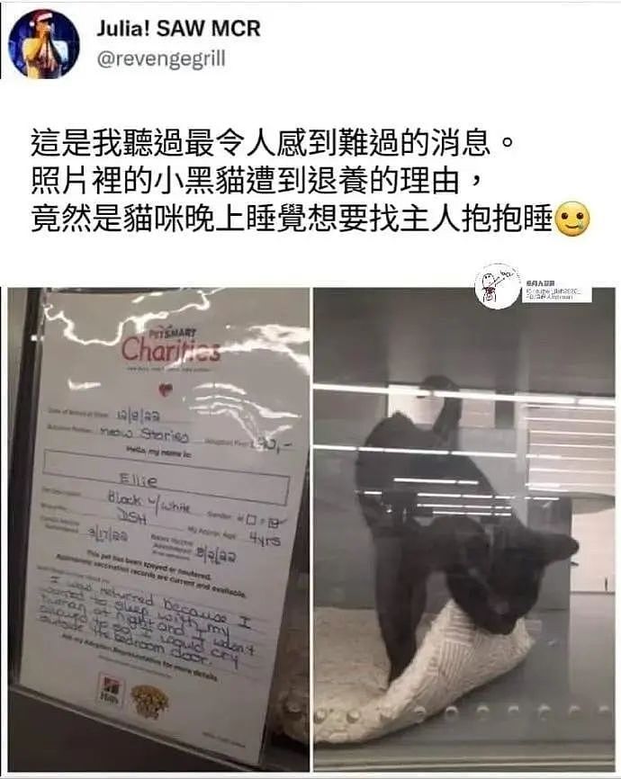 【爆笑】“PDD上买的范特西专辑是正版吗...？”网友夺笋：你这是范特东（组图） - 73