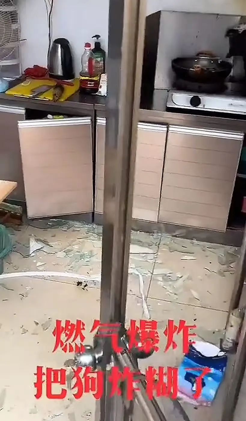 【爆笑】“高考最大的受益者出现了…？”网友笑疯：哈哈哈这是来进货了吗（组图） - 33