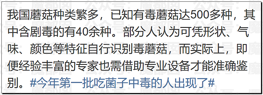 震撼!小仙女自曝在校园采食毒蘑菇中毒,送医后向校方索赔成功(组图) - 41