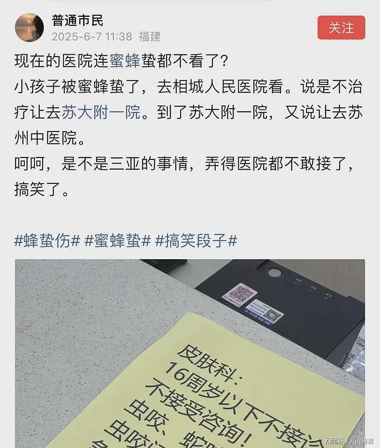 三亚事件后遗症来了!网传苏州一些医院,连蜜蜂蛰都不敢接了…(组图) - 1