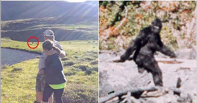 美国森林惊现六米高神秘生物!目击者再寻踪迹,引发大脚怪讨论(组图) - 5