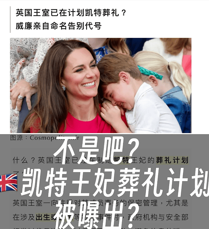 英国王室秘密给凯特王妃筹备葬礼！还是由威廉王子牵头（组图） - 2