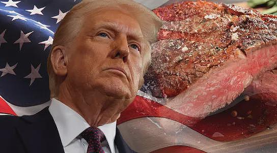 澳洲贸易部长公开喊话: 中国比美国强10倍! 这一次澳洲公开拒绝特朗普, 只想与中国加深合作(组图) - 4