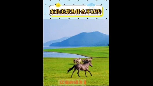 【爆笑】开房花了168元，男友让我 AA，给他80块合理吗？网友：不亏！就当让他侍寝了...（组图） - 6