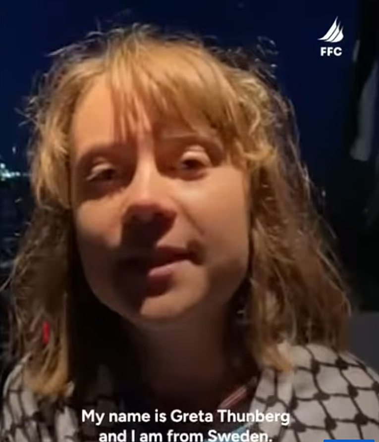 援助作秀?瑞典环保少女被以军海上拦截,遭强制播放哈马斯恐袭录像(组图) - 5