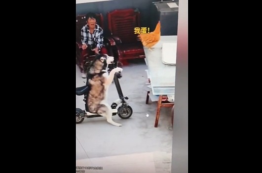 【爆笑】开房花了168元，男友让我 AA，给他80块合理吗？网友：不亏！就当让他侍寝了...（组图） - 15