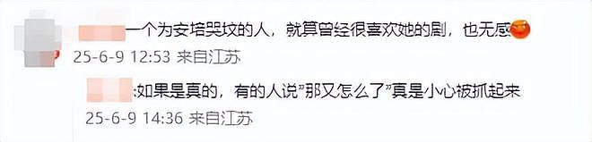 刘品言怀孕消息引热议，评论区竟曝光安倍往事！（组图） - 14
