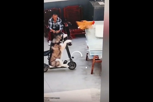 【爆笑】开房花了168元，男友让我 AA，给他80块合理吗？网友：不亏！就当让他侍寝了...（组图） - 14