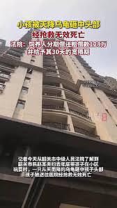 天降乌龟，孩子在小区玩耍时被砸中头部死亡，饲养人判赔128万元（图） - 1