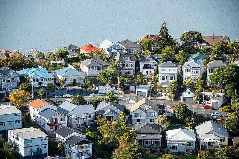最新发布！奥克兰住宅CV跌近10%；全力抢回国际游客，新西兰政府再砸1350万；逼车还动手，房车男路怒发作（组图） - 4