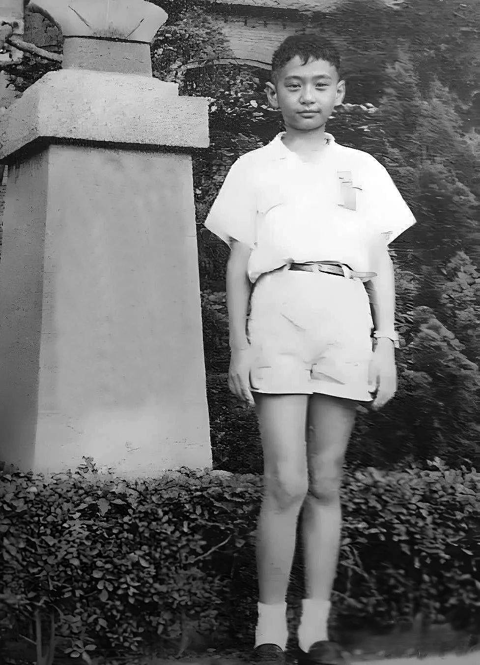 李安两获奥斯卡导演奖!他失业6年,妻子想过自杀(组图) - 3