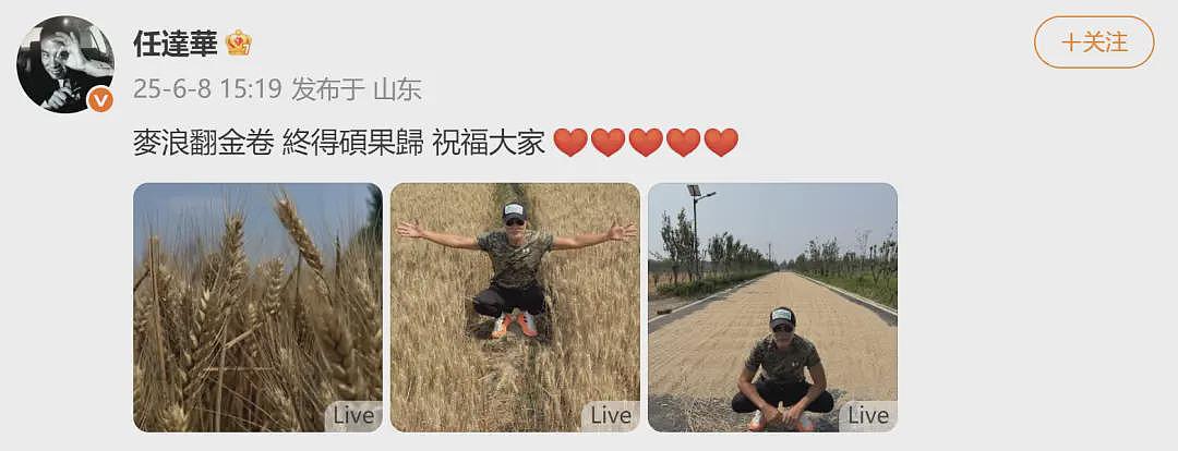 70岁任达华回山东老家收麦子，一点不输年轻人（组图） - 1