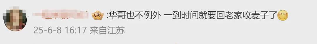 70岁任达华回山东老家收麦子，一点不输年轻人（组图） - 5