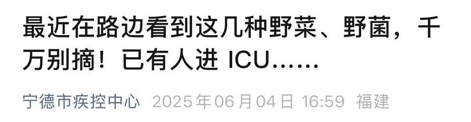 全家6口进ICU，5岁男童不幸去世！福建多地疾控紧急提醒：别吃（组图） - 5