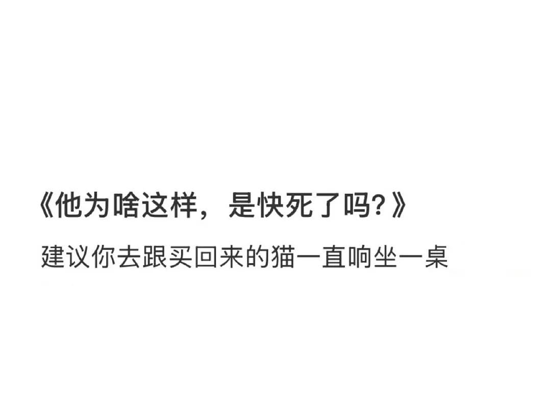 【爆笑】当爸爸要帮我模拟相亲时…？哈哈哈找不到对象的原因找到了（组图） - 41