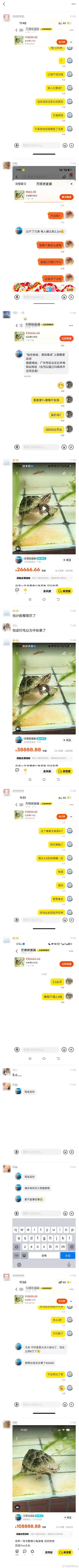 这只8888万的乌龟,像不像你被套牢的股票和房产(组图) - 7