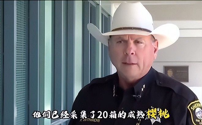 3名华人在美盗窃樱桃被捕！身份曝光，保释金高达百万，评论炸锅（组图） - 7
