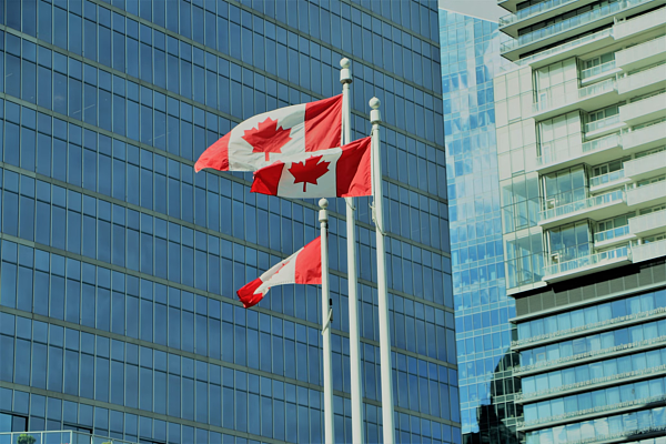 世界银行：都怪他，全球经济大下滑，加拿大最惨（图） - 1