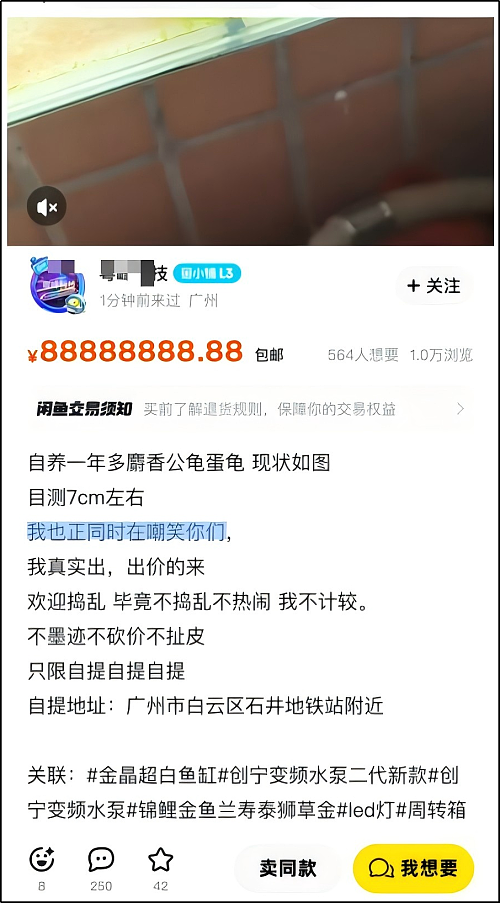 这只8888万的乌龟,像不像你被套牢的股票和房产(组图) - 15