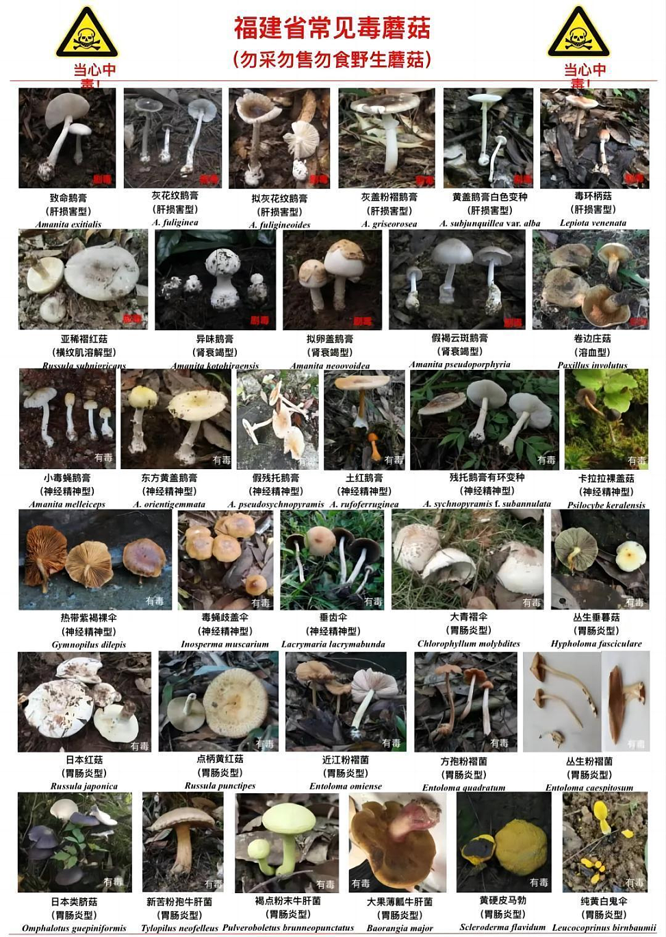 全家6口进ICU，5岁男童不幸去世！福建多地疾控紧急提醒：别吃（组图） - 8