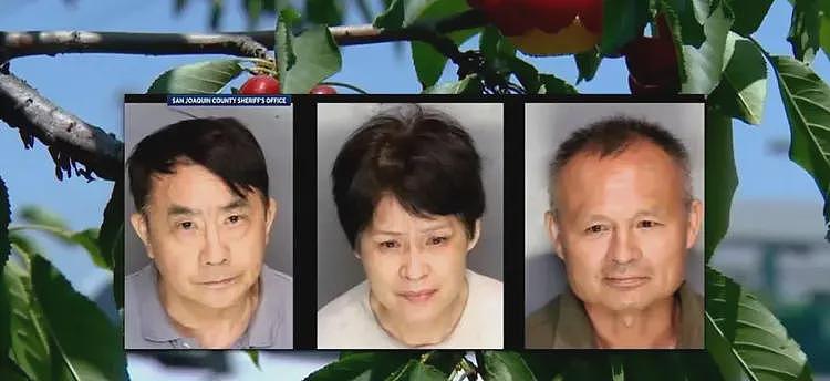 3名华人在美盗窃樱桃被捕!身份曝光,保释金高达百万,评论炸锅(组图) - 3