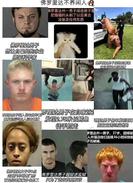 中国留学生美国自驾被捕，保释金竟高达1.7亿美元？打开后备箱惊呆了...（组图） - 2