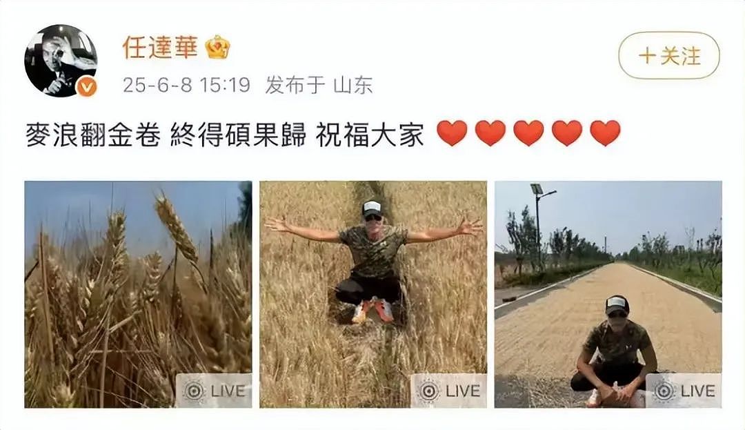 70岁任达华回山东老家收割麦子，被赞不输年轻人，曾在演出时遭手枪威胁（组图） - 2