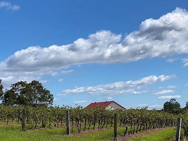 特朗普推全民投资计划 每个新生儿送1000美元炒股 澳洲矿产勘探支出创四年新低 黄金勘探一枝独秀 - 10