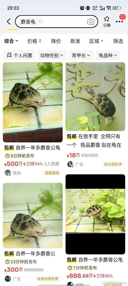 这只8888万的乌龟,像不像你被套牢的股票和房产(组图) - 17