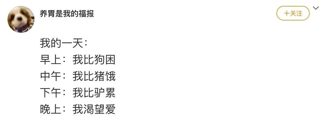【爆笑】当爸爸要帮我模拟相亲时…？哈哈哈找不到对象的原因找到了（组图） - 51