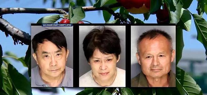 3名华人在美盗窃樱桃被捕！身份曝光，保释金高达百万，评论炸锅（组图） - 3