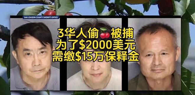 3名华人在美盗窃樱桃被捕！身份曝光，保释金高达百万，评论炸锅（组图） - 1