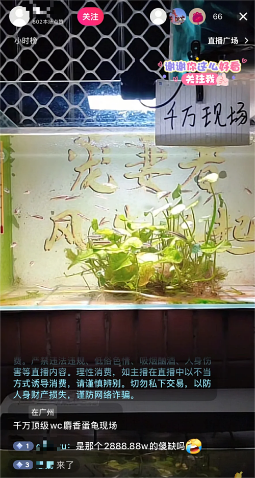 这只8888万的乌龟,像不像你被套牢的股票和房产(组图) - 12