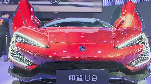 好看又便宜的中国电动汽车，背后是否有更大代价（组图） - 1