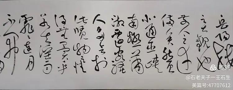 第三届澳中文化交流艺术节即将在悉尼与墨尔本举办！（组图） - 63
