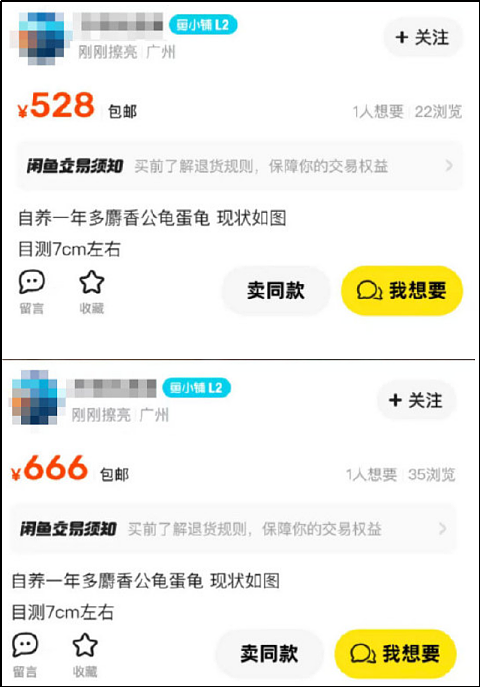 这只8888万的乌龟,像不像你被套牢的股票和房产(组图) - 2